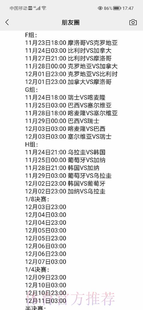 世界杯赛事比分全面解析平台
