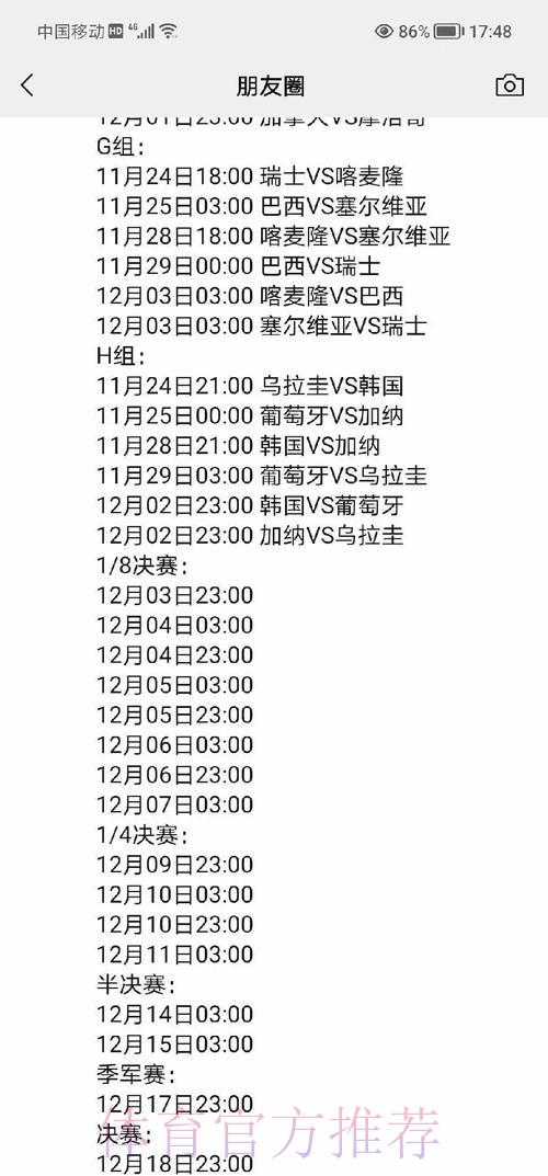 世界杯赛事比分全面解析平台