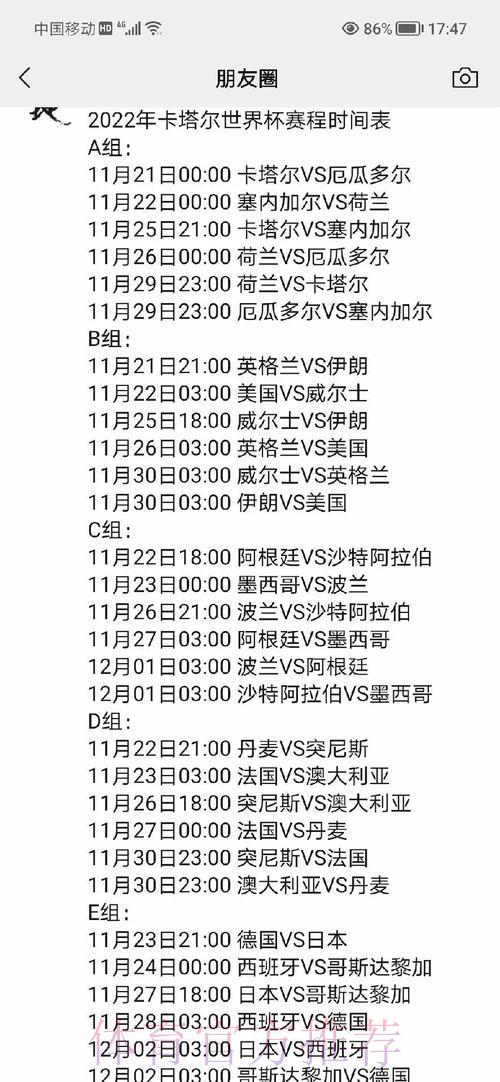 世界杯赛事比分全面解析平台
